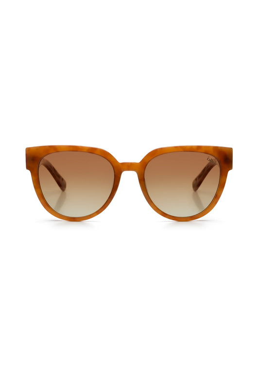 LOU - Oranje turtle